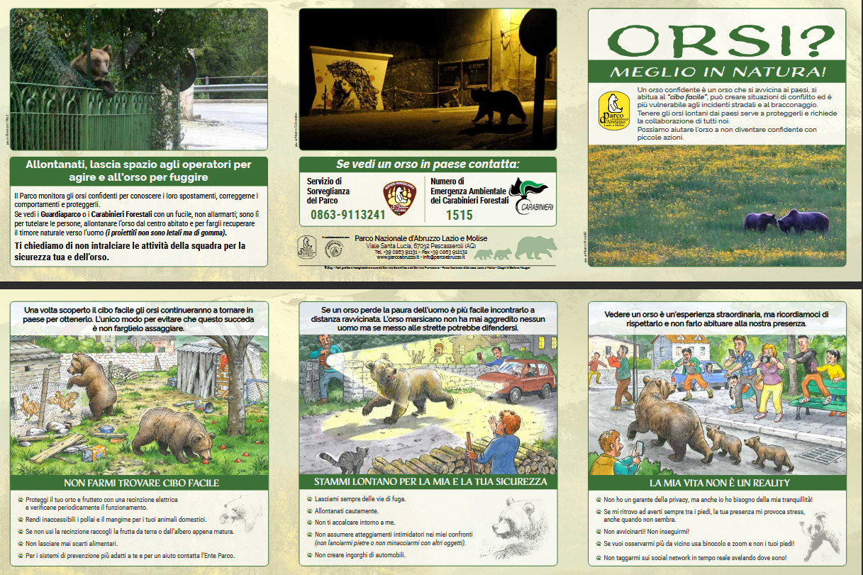 Norme prevenzione e gestione degli orsi
